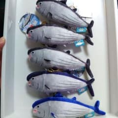 ★新品未使用品★オーシャンワールド　鰹　カツオ　ぬいぐるみマスコット3種セットのサムネイル