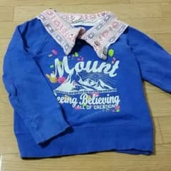 ウィルメリートレーナーのサムネイル