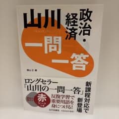 山川 一問一答政治・経済のサムネイル