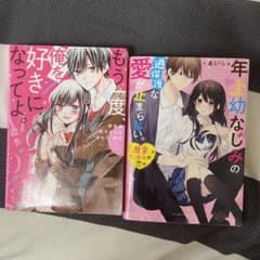 野いちご小説 2冊セットのサムネイル