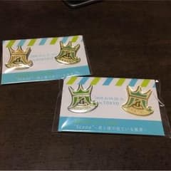 嵐 ピンバッチのサムネイル