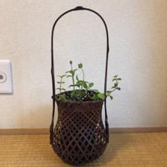 花かごのサムネイル