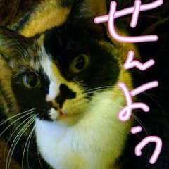 ナルト 69巻のサムネイル