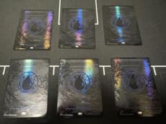MTG 島 6枚 オイルスリックFOIL 基本土地 - メルカリ