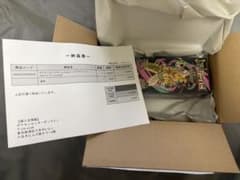 ポケセン産 【BOX】 MEGA ハイクラスパック MEGAドリームex - メルカリ