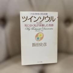 ツインソウル 完全版 飯田史彦 PHP文庫のサムネイル