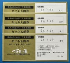 nico様 専用　みなとみらい セット入館券のサムネイル