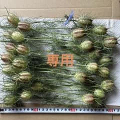 happylove様専用です！のサムネイル