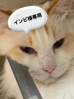 インビ様専用のサムネイル