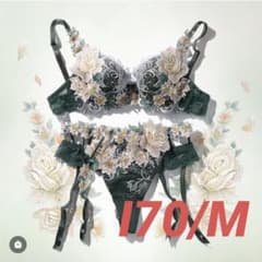新品未使用タグ付きI70 M サルート 09G ブラ Tショーツ ソング GRのサムネイル