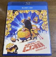 대인기 괴도글루의 미니언 초변신('24미”)