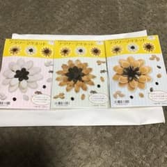 フラワーマグネット　野菜や花のタネから作る！のサムネイル