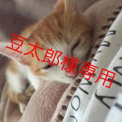 メタルギアソリッドVのサムネイル