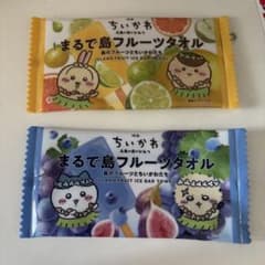 ちいかわアイスポーチケースのみのサムネイル