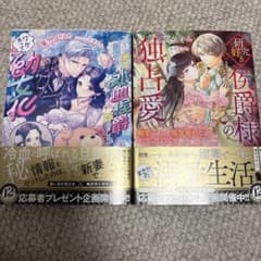 【専用】エタニティブックス・ルネッタブックス・ヴァニラ文庫・蜜猫文庫　2月新刊 2冊セット 蜜猫文庫4月新刊 - メルカリ