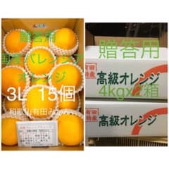 2箱セット贈答用 国産バレンシアオレンジ 3L 15個 和歌山県有田みかん
