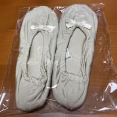 上履きのサムネイル