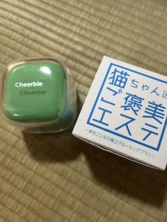 ★hana様専用★Cheerble 猫 ブラシのサムネイル