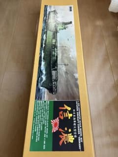 有井　1/250 日本海軍　航空母艦　信濃 Amazon | 童友社 1/250 戦艦シリーズ 日本海軍 空母 信濃 | プラモデル