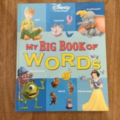 My big book of words 絵本DWE - 2