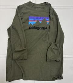 パタゴニアTシャツのサムネイル