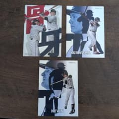 埼玉西武ライオンズ 選手プロデュースグルメ トレカ 骨牙栗山巧タイラー・ネビンのサムネイル