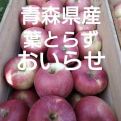 葉とらずおいらせ家庭用のサムネイル