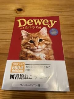 〈TOEIC〉図書館ねこデューイ