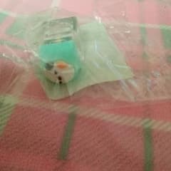 Pochi Pochi Keyboard Block Shimaenaga Charm