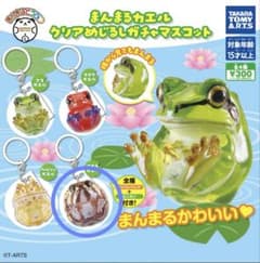 ガチャガチャ まんまるカエル クリアめじるしガチャマスコット(フクラガエル)のサムネイル