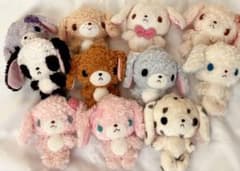 超希少 シュガーバニーズ ぬいぐるみ 11体セット バラ売り不可 - メルカリ