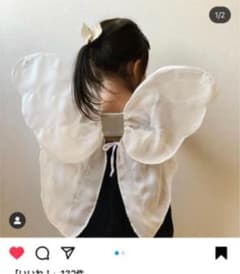 ナンバー74 number74 妖精の羽のサムネイル