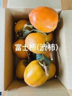 富士柿　渋柿　干し柿用　大きさ不揃い　2kg強　8個〜9個のサムネイル