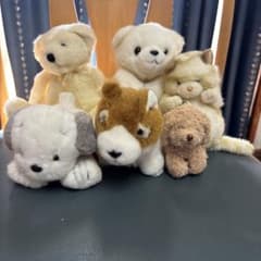 ぬいぐるみ 6点セット まとめ売りのサムネイル