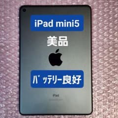 美品 iPad mini 第5世代 バッテリー良好 Wi-Fiモデル 64GB - メルカリ