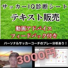 サッカーIQ診断シート テキスト販売 【動画アドバイス付】のサムネイル