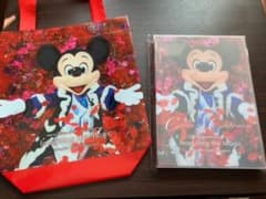 ディズニー イマジニングザマジック  写真集のサムネイル