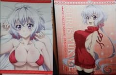 B2タペストリー 雪音クリス　セットのサムネイル