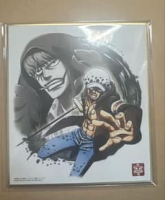 ONEPIECE 로우 콜라송 색지