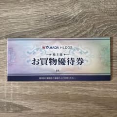 YAMADA HLDGS. お買物優待券 2000円分のサムネイル