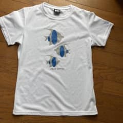 Tシャツのサムネイル