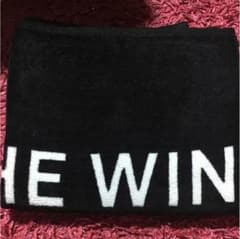 THE WINGS TOUR 2017 グッズ タオルのサムネイル