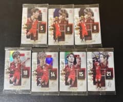 バレーボール 日本代表 トレーディングカード まとめ売り　30枚セットのサムネイル
