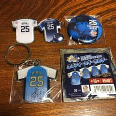 平井克典セットのサムネイル