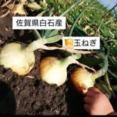ゆっこ様　20kgのサムネイル