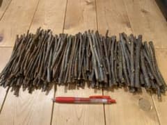 りんごのかじり木 太さ4〜10mm 重さ500g 約150〜180本 天然のサムネイル