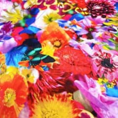 GU蜷川実花コラボワンピース♡のサムネイル