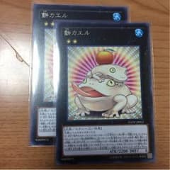 餅カエルのサムネイル