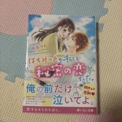 はちみつ色のキミと秘密の恋をした。 小春りん 野いちご文庫のサムネイル