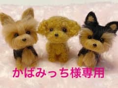 羊毛フェルト、ヨークシャテリア、トイプードルのサムネイル
